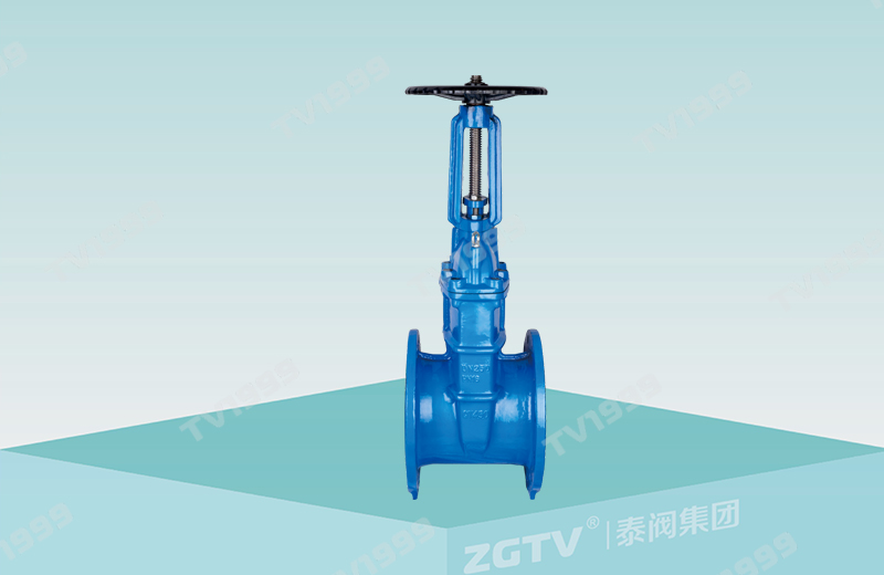 明杆弹性座封闸阀