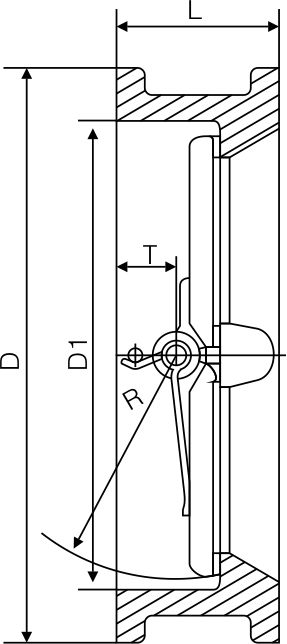Zero leakage check valve(图1)
